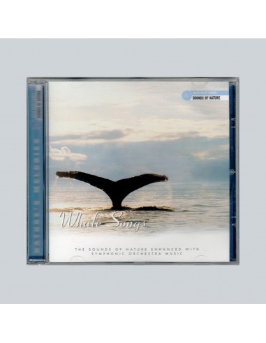 Whale songs